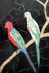king parrots